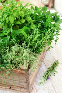 Fresh green herbs in old wood box.